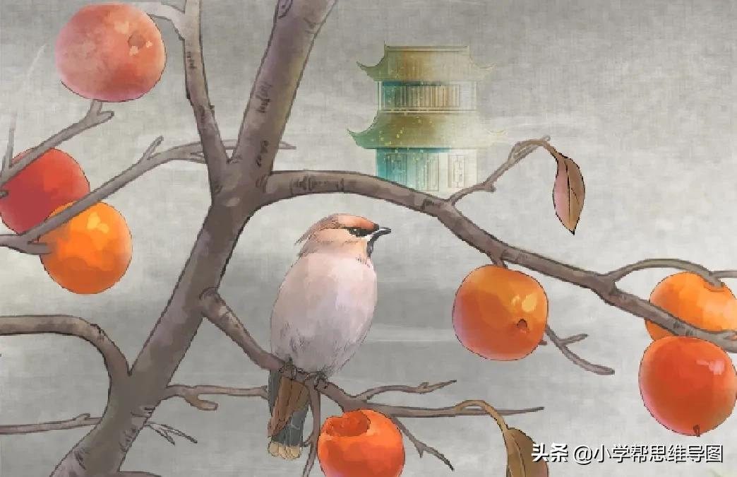 作文舌尖上的美食福州,作文舌尖上的美食饺子