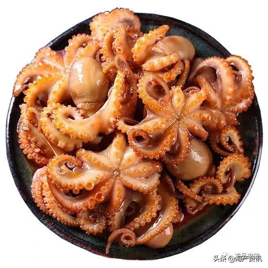 章鱼八爪鱼鱿鱼墨鱼乌贼怎么区分,乌贼章鱼鱿鱼的区别图解