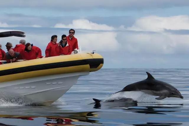 塔斯马尼亚世界的尽头,塔斯马尼亚旅游世界的尽头