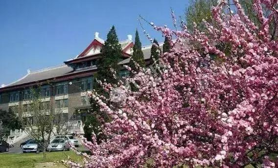 京郊最美的十大花海,京郊这些浪漫花海惊艳初秋的北京