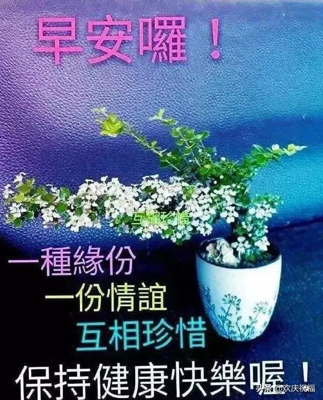 早上好问候语2019最火图片,微信早上好最暖心祝福问候语图片