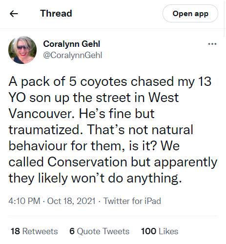 西温豪宅区惊现郊狼13岁孩子上学遭5狼跟踪家长吓傻