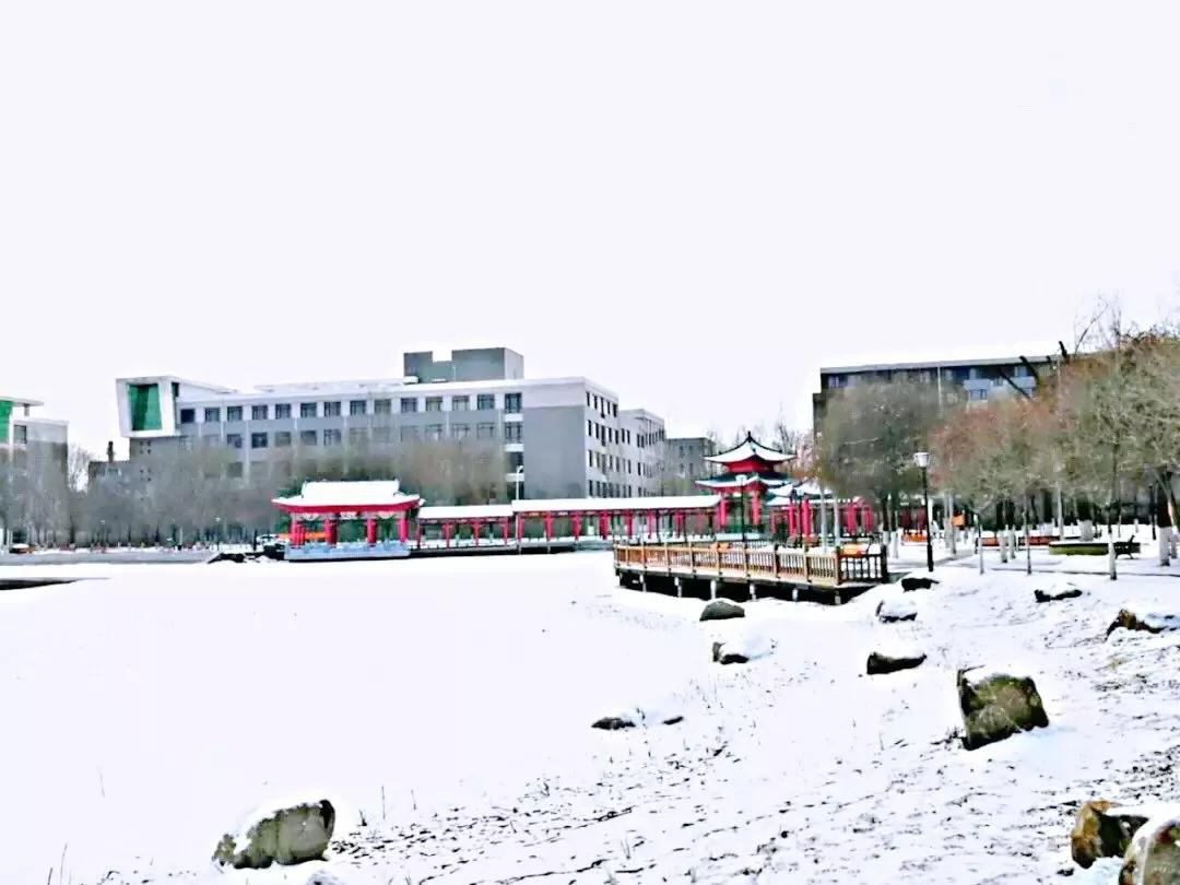 辽宁中医药大学杏林学院规模,辽宁中医学院杏林学院的排名