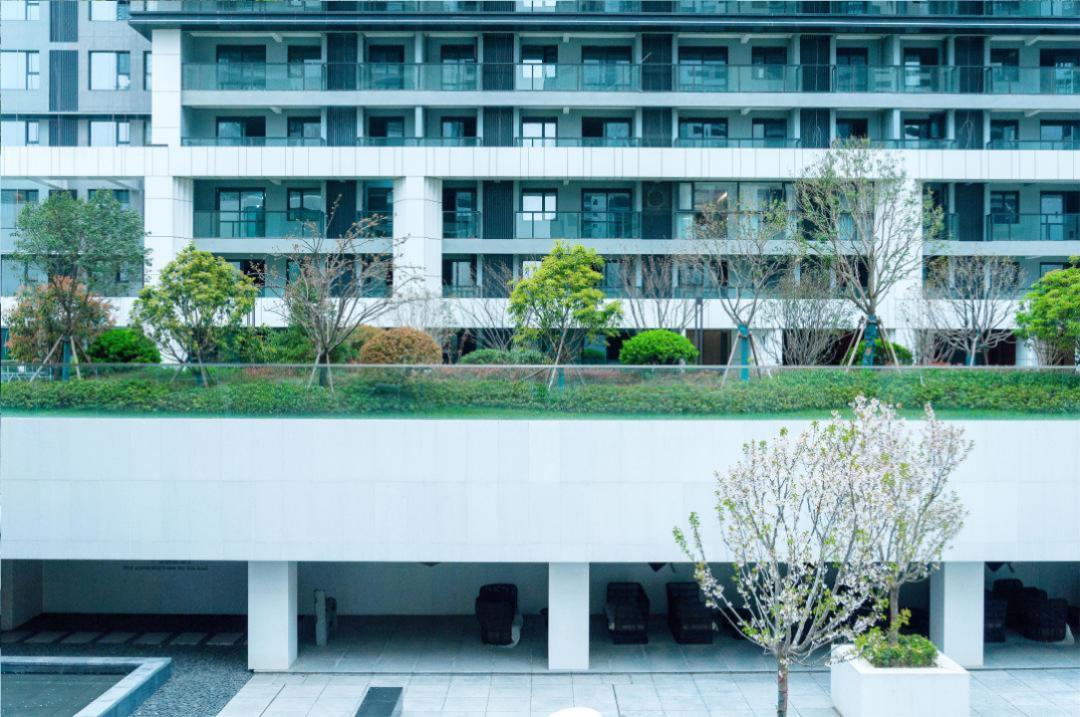 郑州大正水晶森林详情,大正水晶森林二期和一期哪个好