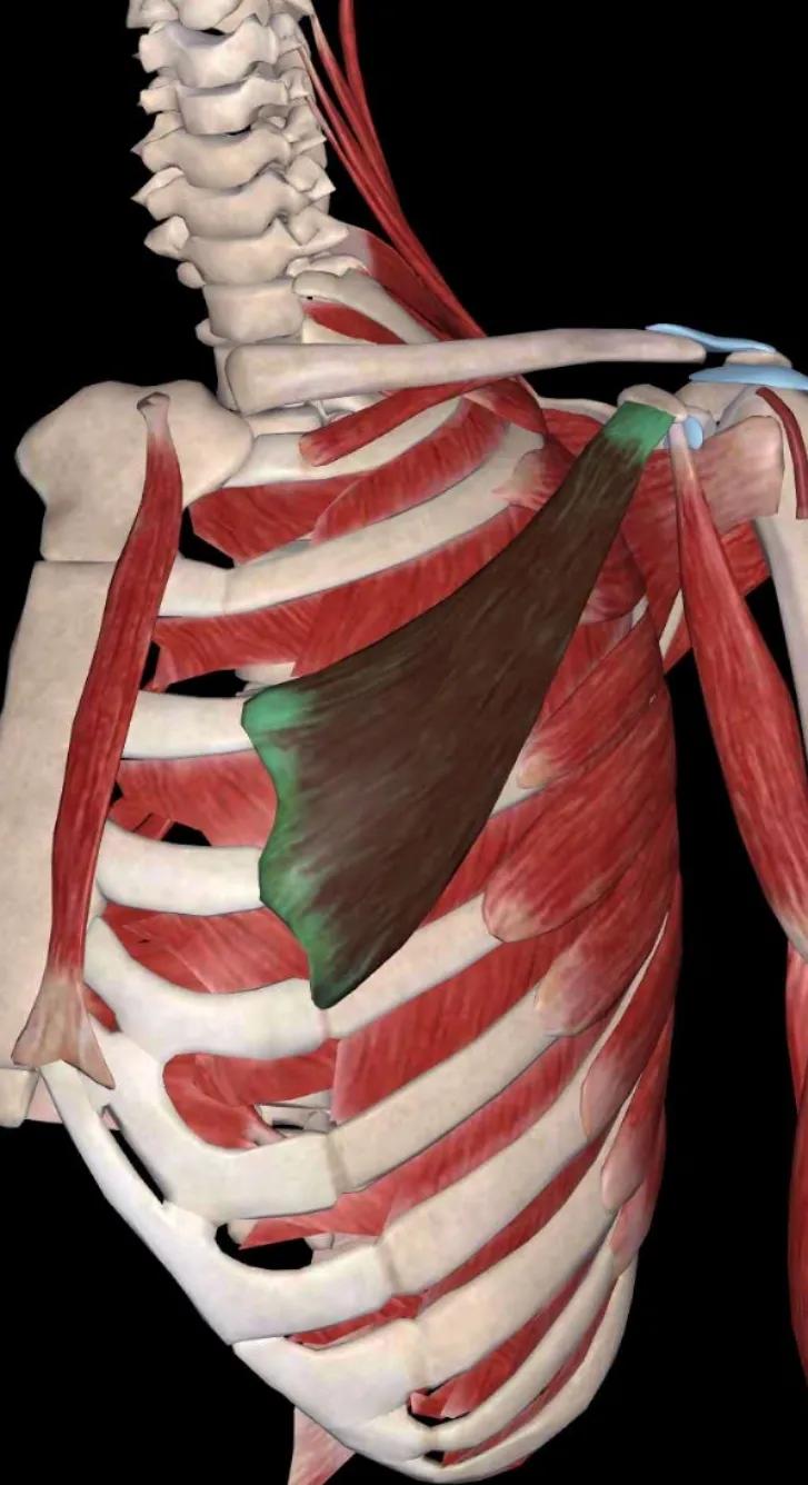 中医不是慢郎中第一集,中医不是慢郎中央视十套