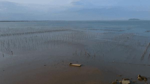 御air2性能展示,御2变焦版和air2s哪一个变焦更强