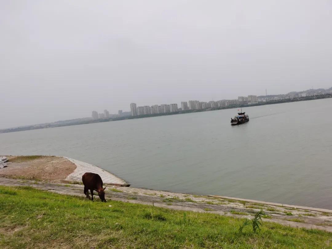 即将消失的篾匠手艺,竹艺篾匠