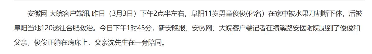 小男孩被母亲捅伤最后的结局,8岁男童为什么被母亲砍断双手