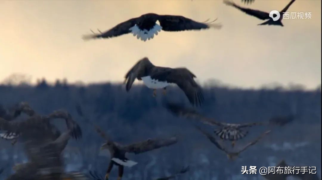 豆瓣9.1分看哭百万人,豆瓣评分9.0却很少有人看懂