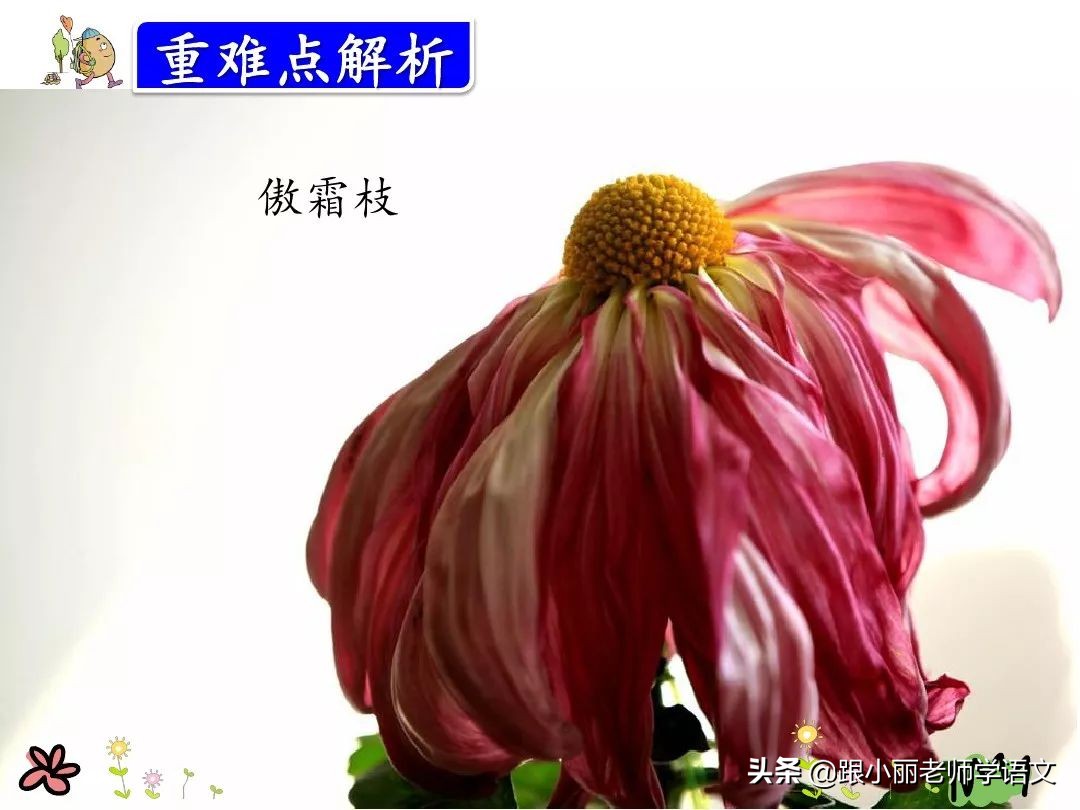 统编版三年级语文上册古诗,三年级上册语文同步指导古诗三首