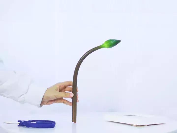 花店不会告诉你的秘密,花店不想告诉你的养花秘密