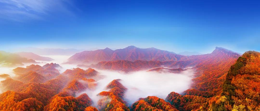 光雾山今天的红叶美景,光雾山红叶观赏全攻略