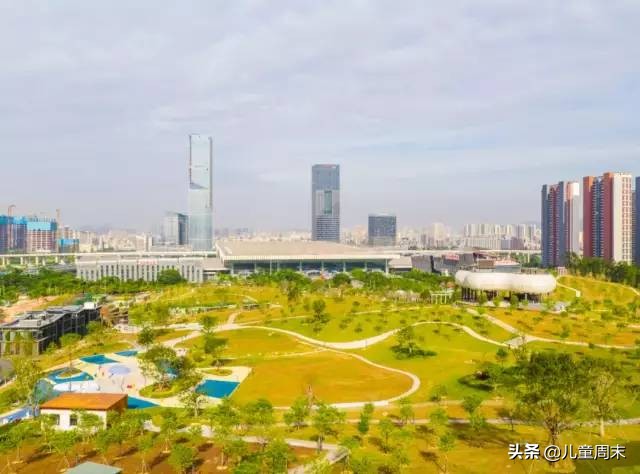 深圳中心公园足球场,深圳中心公园大草坪