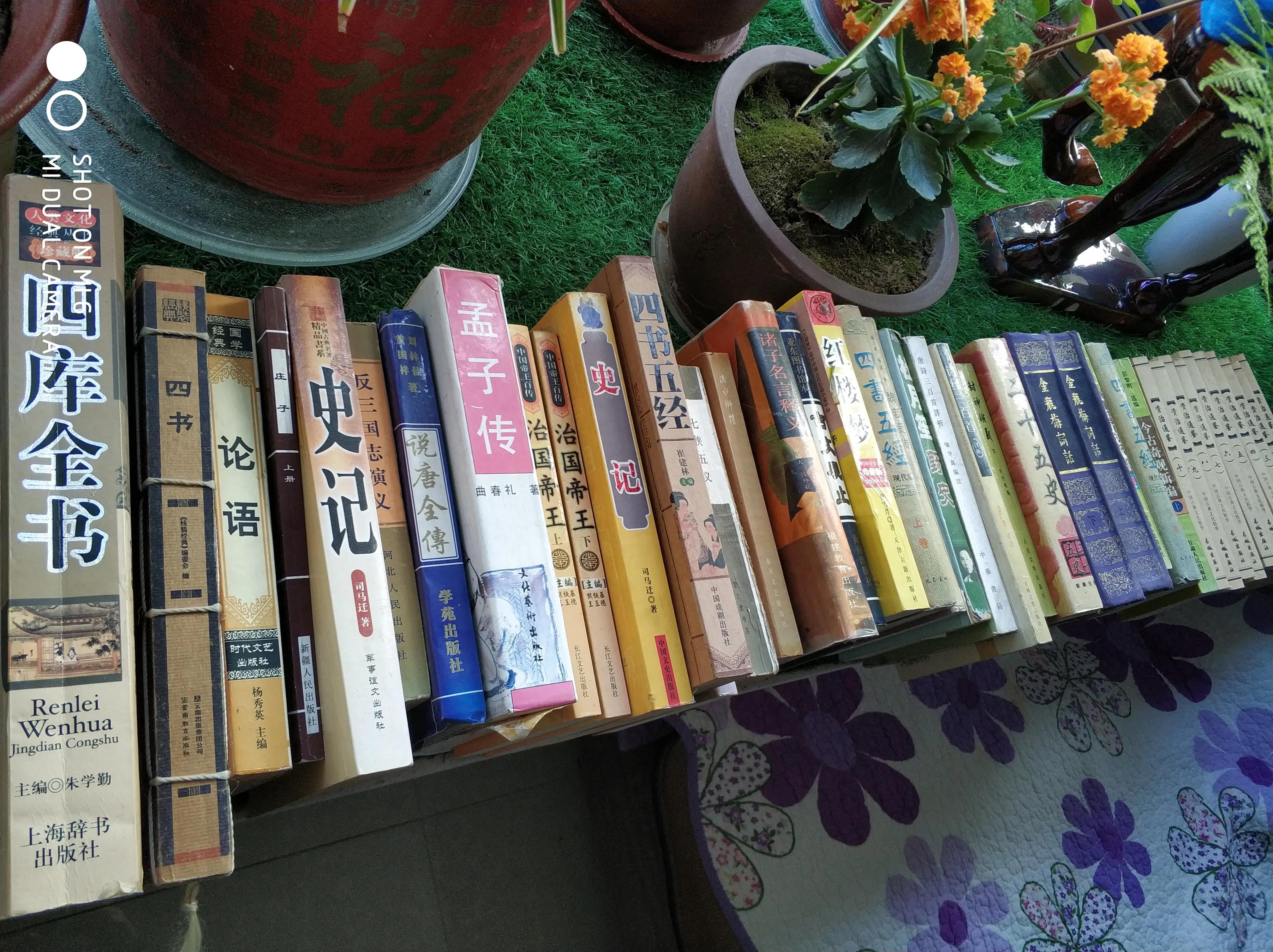 娲嬫渤澶ф洸灏佸潧鑰侀厭,娲嬫渤鑰侀厭鍥剧墖澶у叏