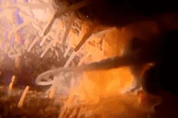 每一个都那么拼命前进，我们还好意思去选择性别吗？