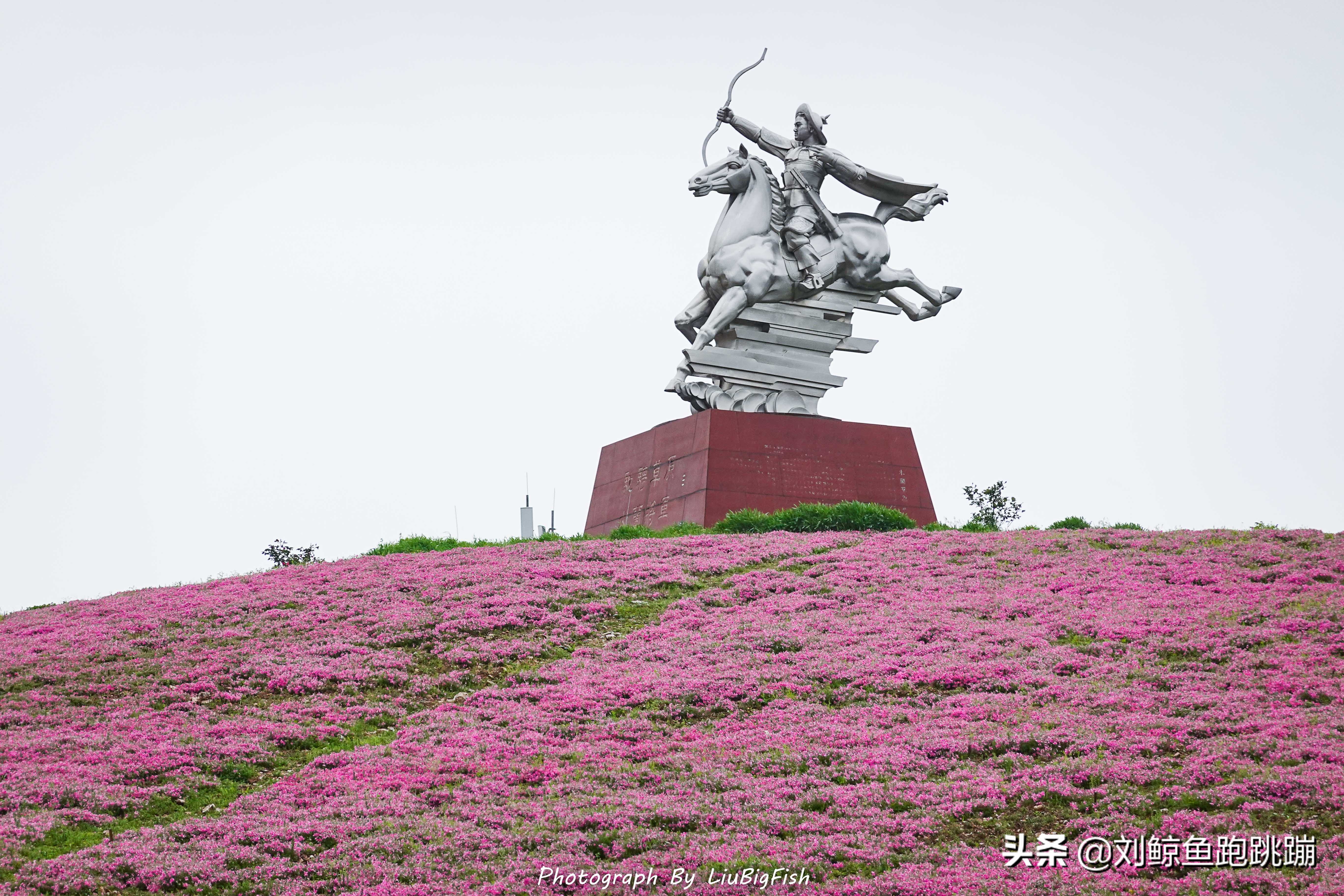 木兰草原马战演出直播,武汉木兰草原狂欢夜视频