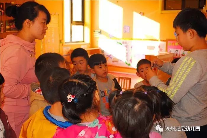 生命教育孵蛋,生命教育课程孵小鸡