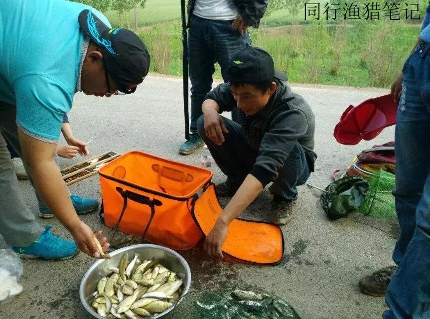 钓鱼记录2019,最新的钓鱼日记