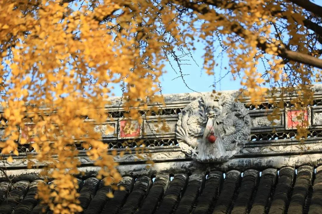 回不去的故乡到不了的远方句子,回不去的故乡到不了远方歌曲