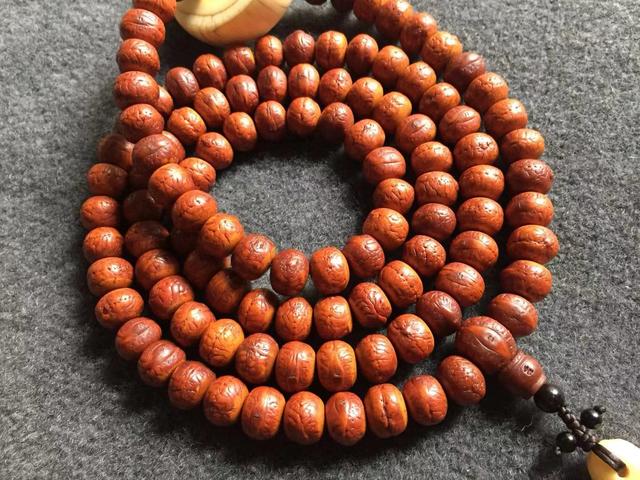 凤眼菩提是菩提吗,凤眼菩提与金刚菩提