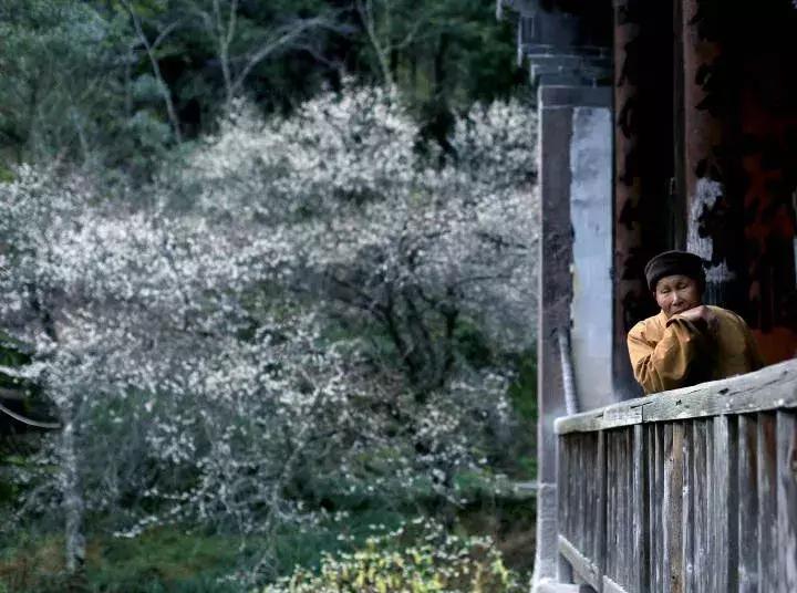 武夷山风景区民宿推荐价格表,武夷山山里民宿