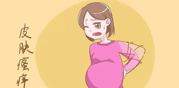 为什么怀孕瘙痒晚上严重,为啥怀孕后皮肤瘙痒