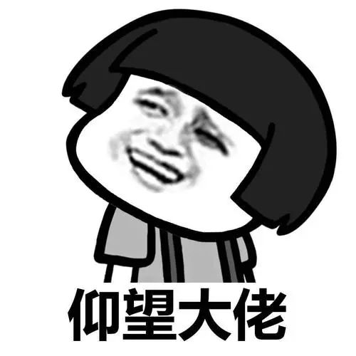 辽宁师范大学政治学理论411分经验分享