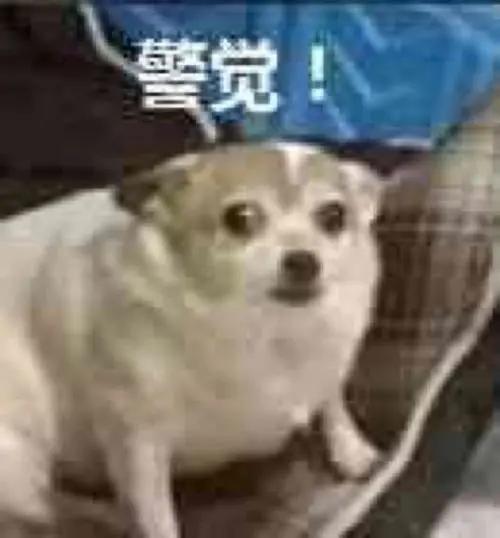 天津考古网站大全,天津考古网站排名