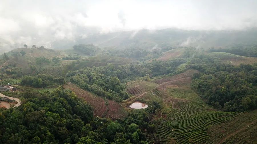 告庄西双景游玩多长时间,告庄西双景值得去吗