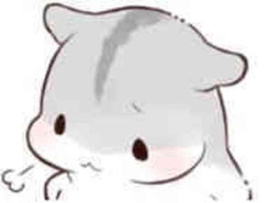 公司有经营异常不处理有什么后果,公司经营异常是很严重的事吗