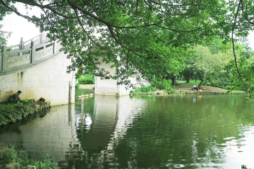 深圳遛娃50个必去的主题公园,深圳遛娃必去景点免费全部列表