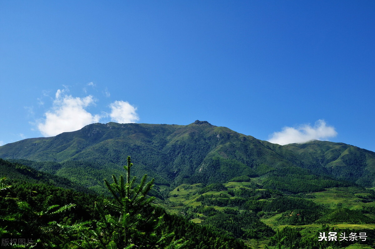 种植10亩地一年赚50万,老板投资了100多万搞养殖