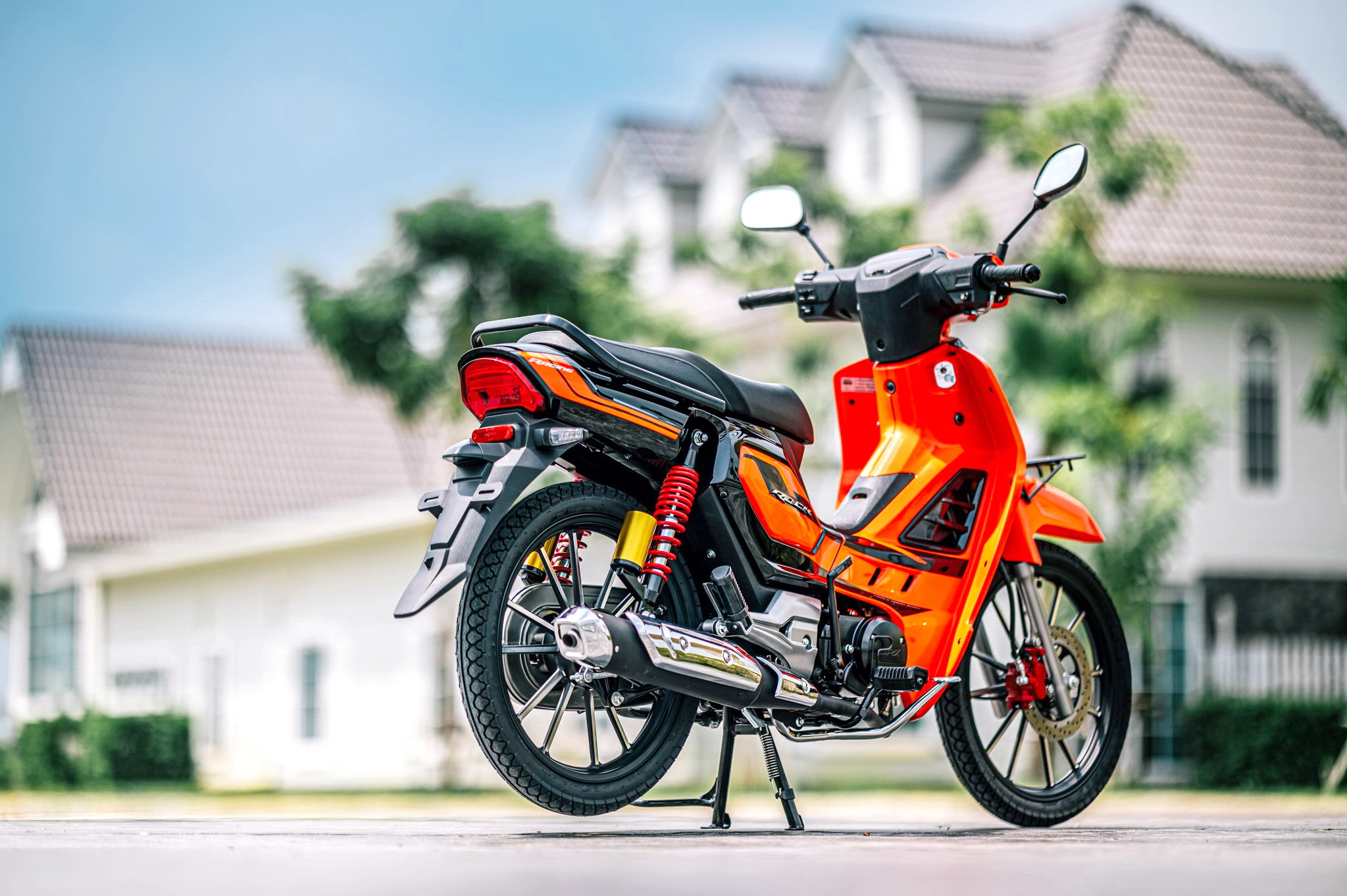 新瓶装老酒图片,老酒酒瓶图片大全