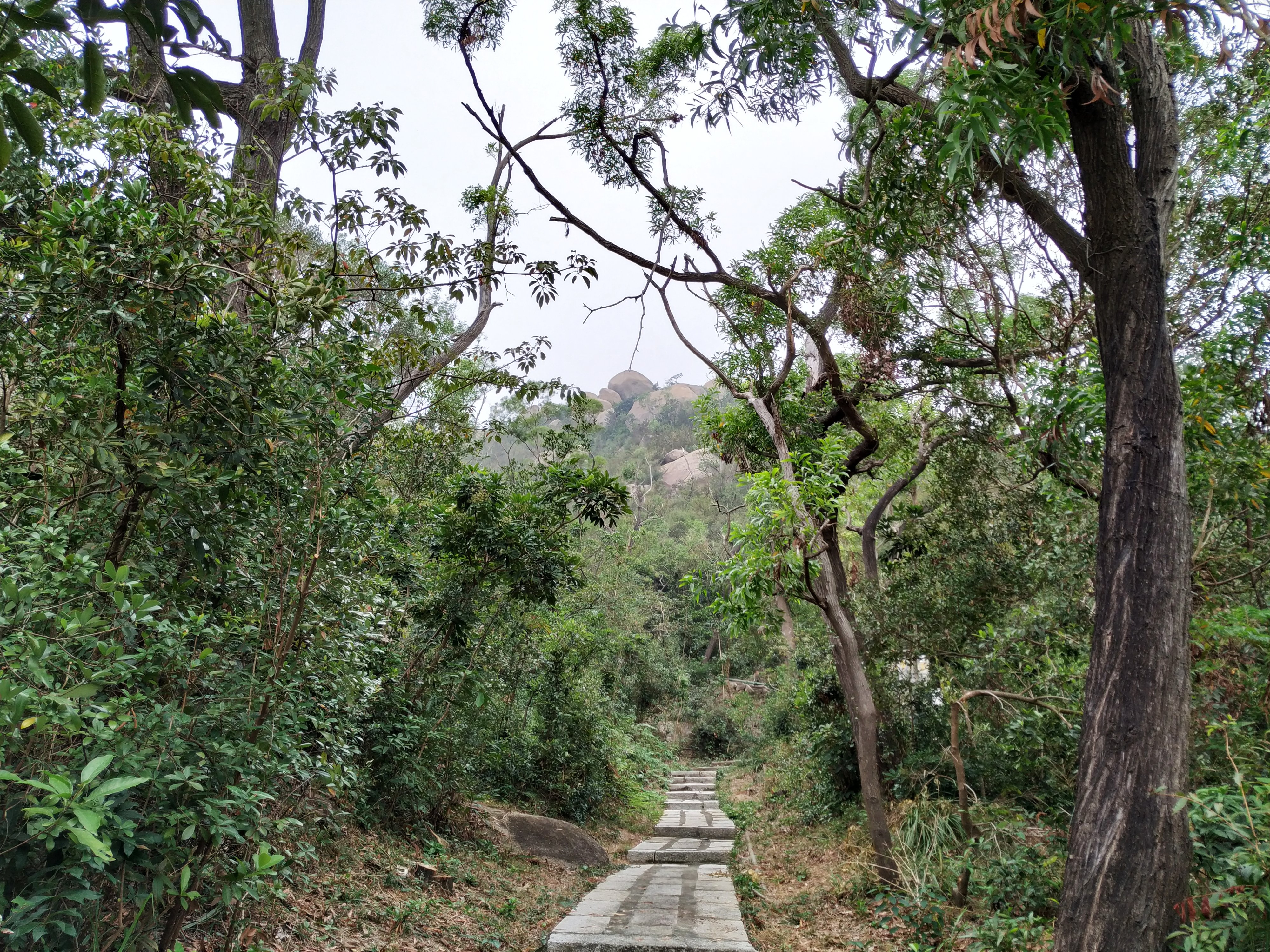 珠海景山公园攻略路线图,珠海景山公园一日游攻略