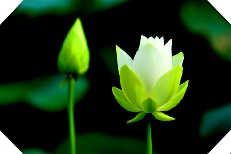 一个人欠款走投无路怎么办,欠债太多无力偿还怎么放平心态