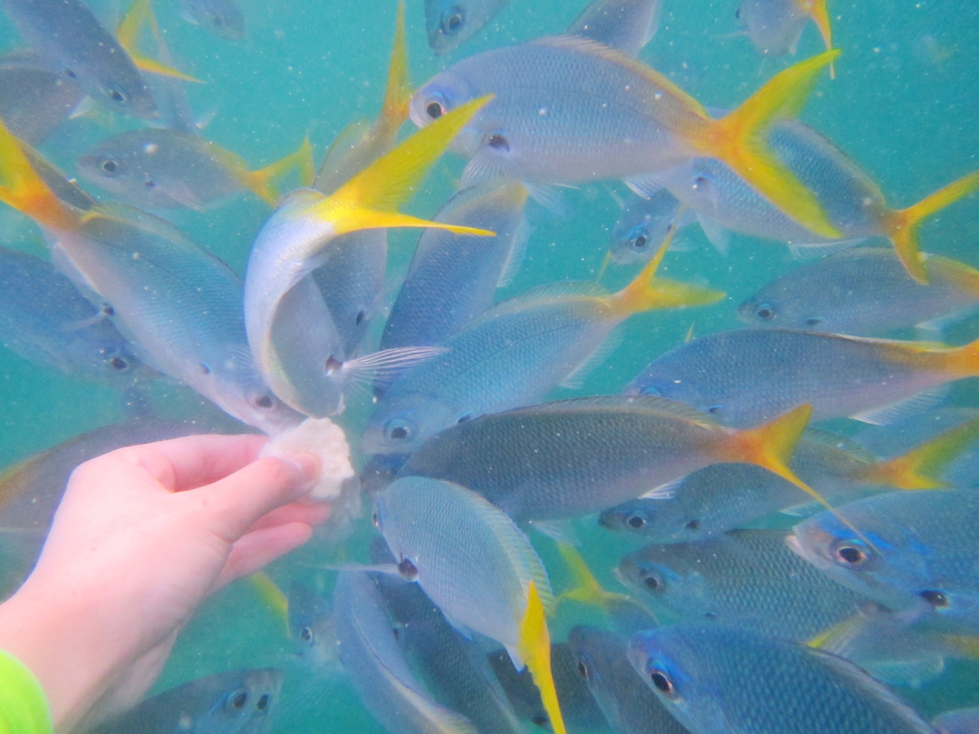 一定是特别的缘分——帕劳,再遇见「周若雪Patty」·上