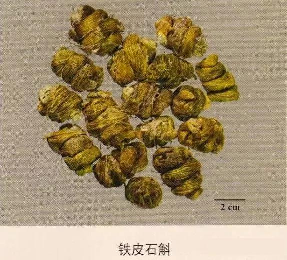 中药材图片大全大图带药名,200多味中药材图谱带图