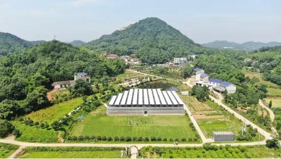 一起dou游望城,一起dou活动招募令在哪里找