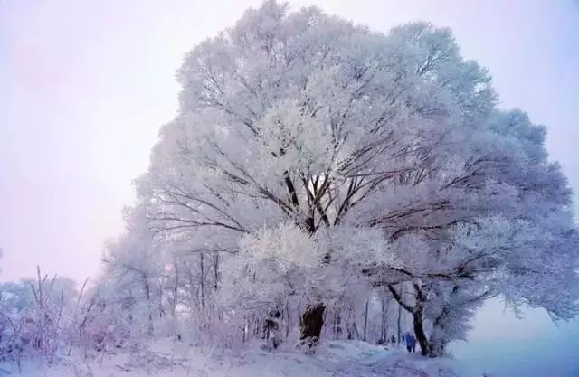 下半年旅行最佳时间表,2023最佳旅游时间表