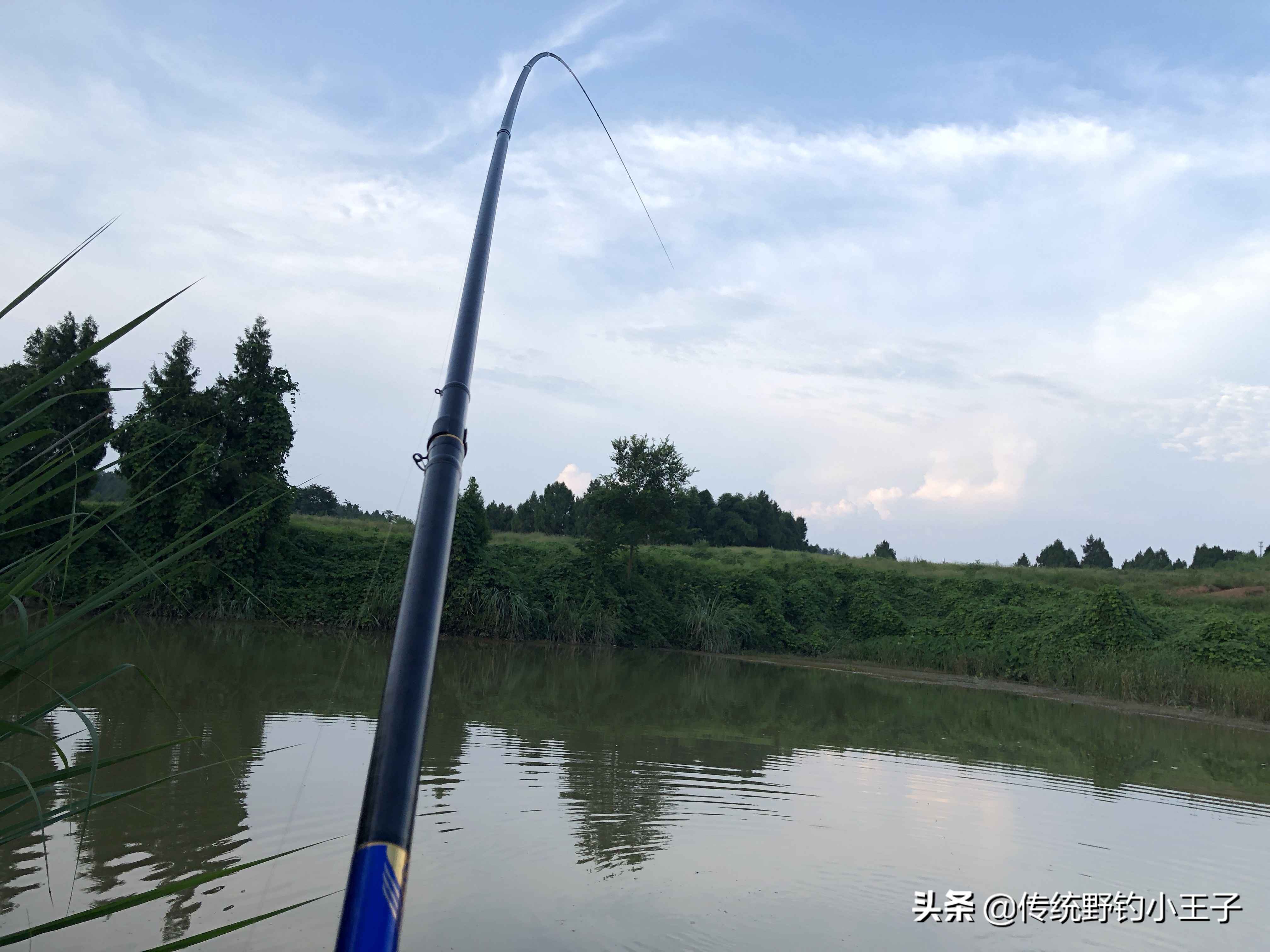 谷麦钓通线1.5和2.0对鱼口影响大吗,野钓谷麦用什么打窝比较好