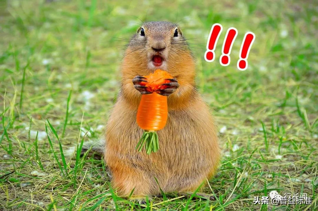 在银行工作有什么好处和优势,在银行上班最有成就感的事情