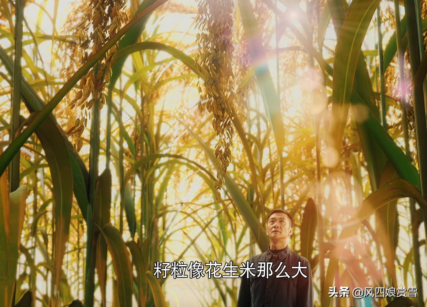 别的国家根本拍不出这样的电视剧！你知道《功勋》好在哪吗？