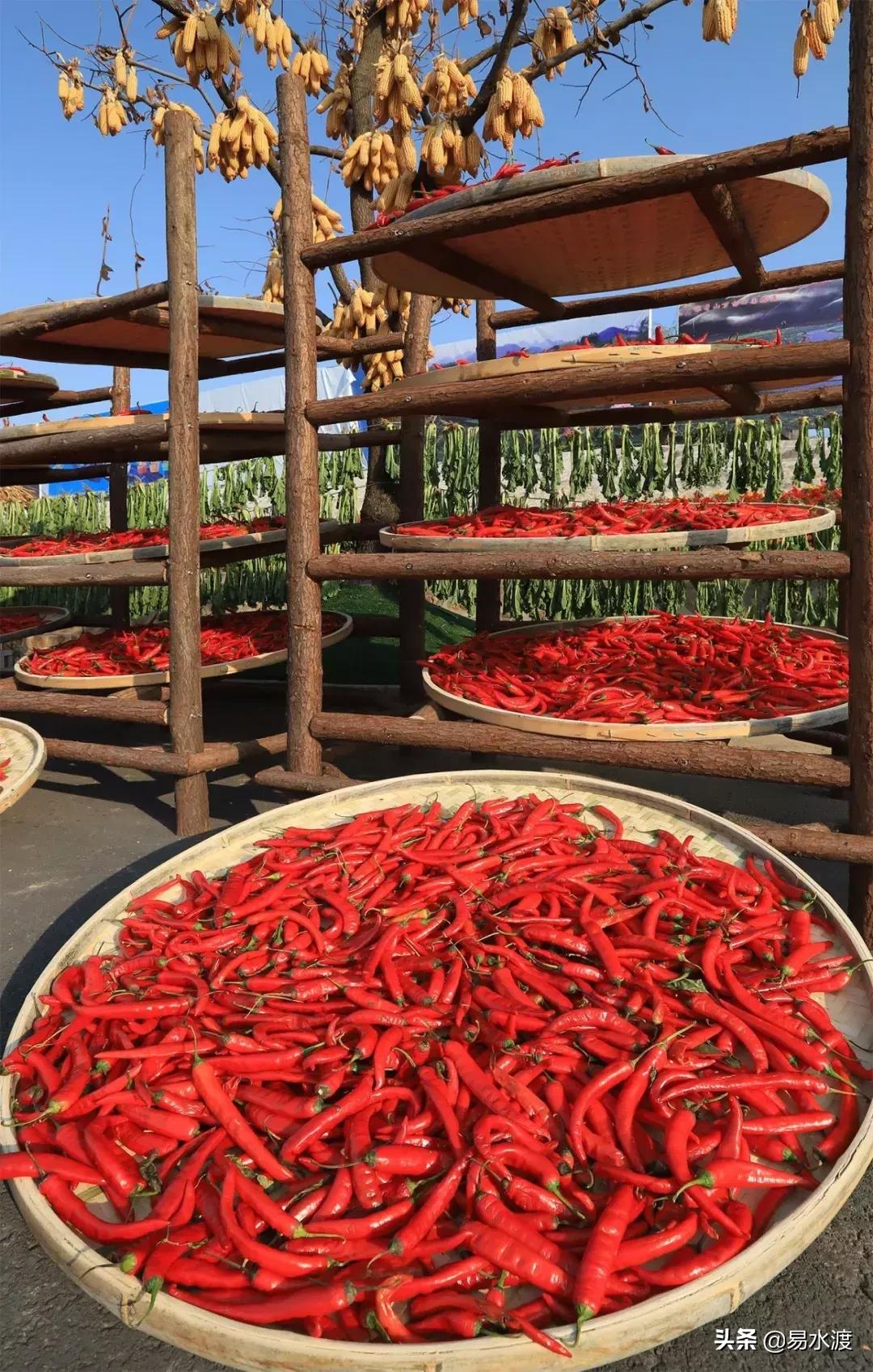 岁月安好,时光静好!愿在易县,与你共赴终老!