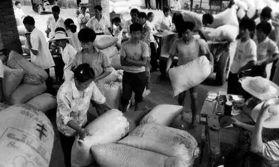 六七十年农民交公粮照片,老百姓上缴公粮场面