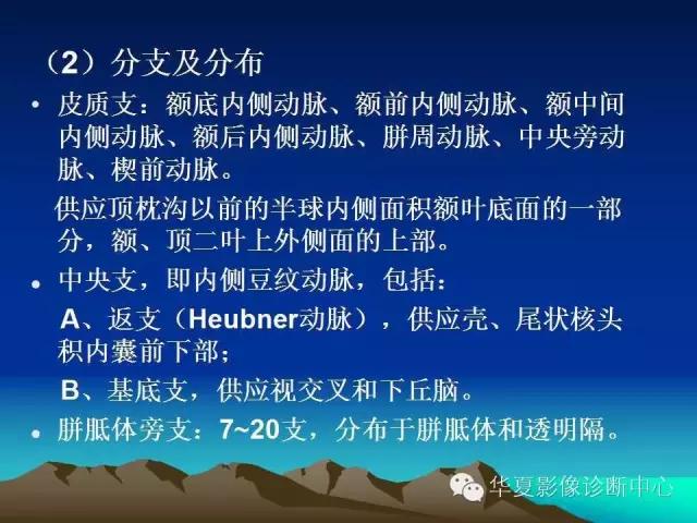小脑血管解剖分段,脑血管影像解剖讲解
