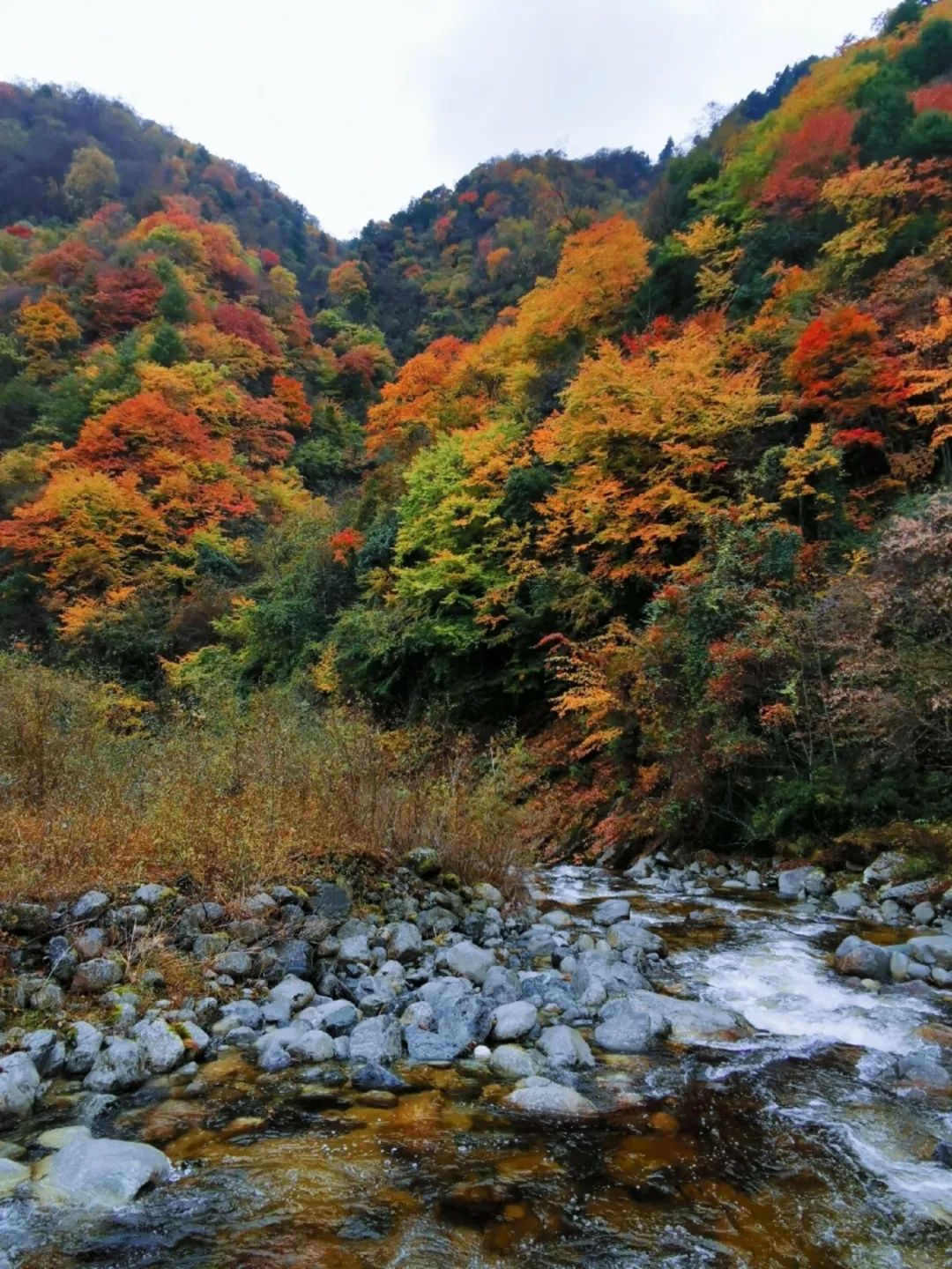 非战斗人员请快速撤离现场原创,非战斗人员请尽快撤离音频