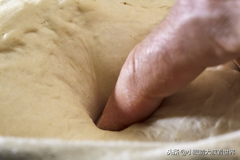 第一次发酵过度的面团,发酵过度的吐司面团
