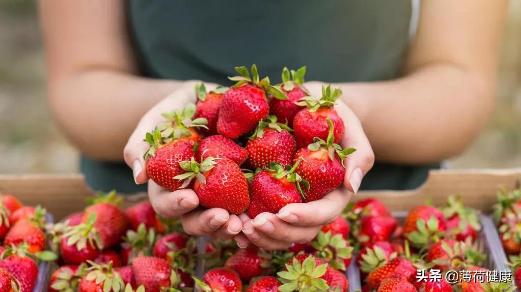 最瘦身的水果有哪些,营养又适合减肥的水果