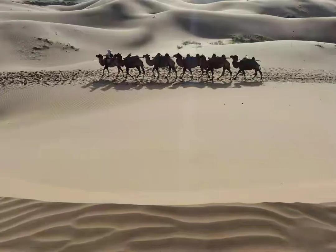 手拍世界-2021年09月各周最佳作品专集（总第716期）