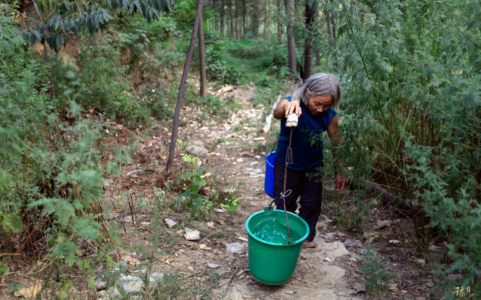 散文精读梨花,散文大字版